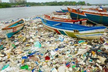 印度孟买的海滩开展的清理工作表明，海洋中的塑料垃圾每年如何导致数百万海鸟死亡。