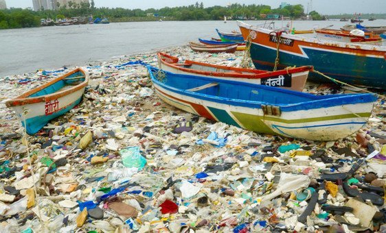 A beach clean-up in Mumbai, India, illustrates how ocean debris leads to the deaths of millions of seabirds every year