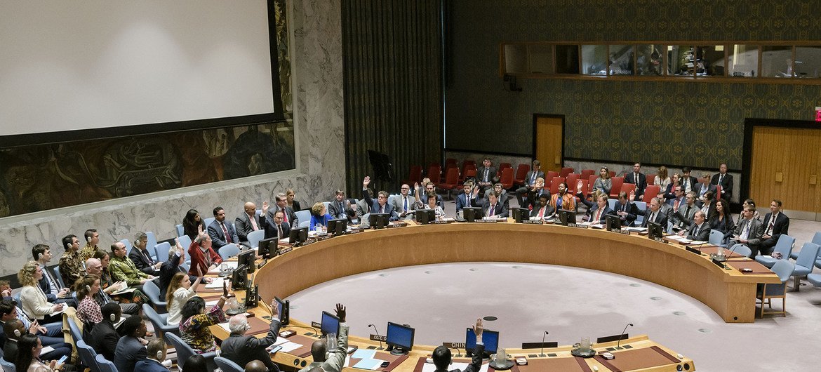 مجلس الأمن الدولي يصوت على قرار بشأن ليبيا في 10 حزيران/يونيو 2019.