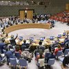 Le Conseil de sécurité adopte une résolution sur les personnes disparues en temps de conflit le 11 juin 2019.
