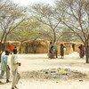 尼日利亚东北部博尔诺州的一处境内流离失所者营地。