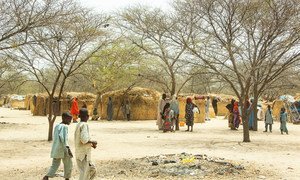 Climate change impacts continue to fuel tensions and drive displacement in Nigeria.