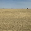 Nos Camarões, o uso não sustentável dos terrenos contribuiu para a desertificação