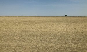 In Cameroon, unsustainable land use has contributed to desertification. (February 2019)