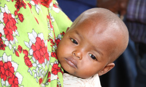 Child on mothers back in the Dadaab refugee camp, Kenya.