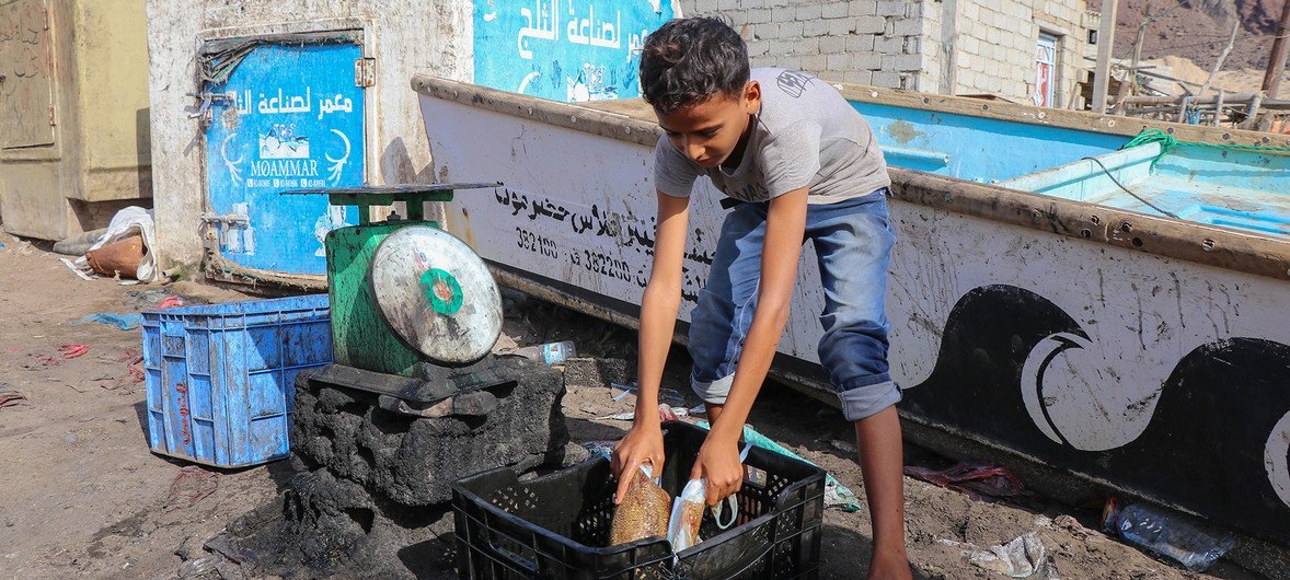Sam is a displaced boy from Hudaydah. When his family fled to Aden he had to get a fishing job to help support them. His father used to be a teacher but after losing his job he stays at home caring for Sam's mother who has disabilities that prevent her fr