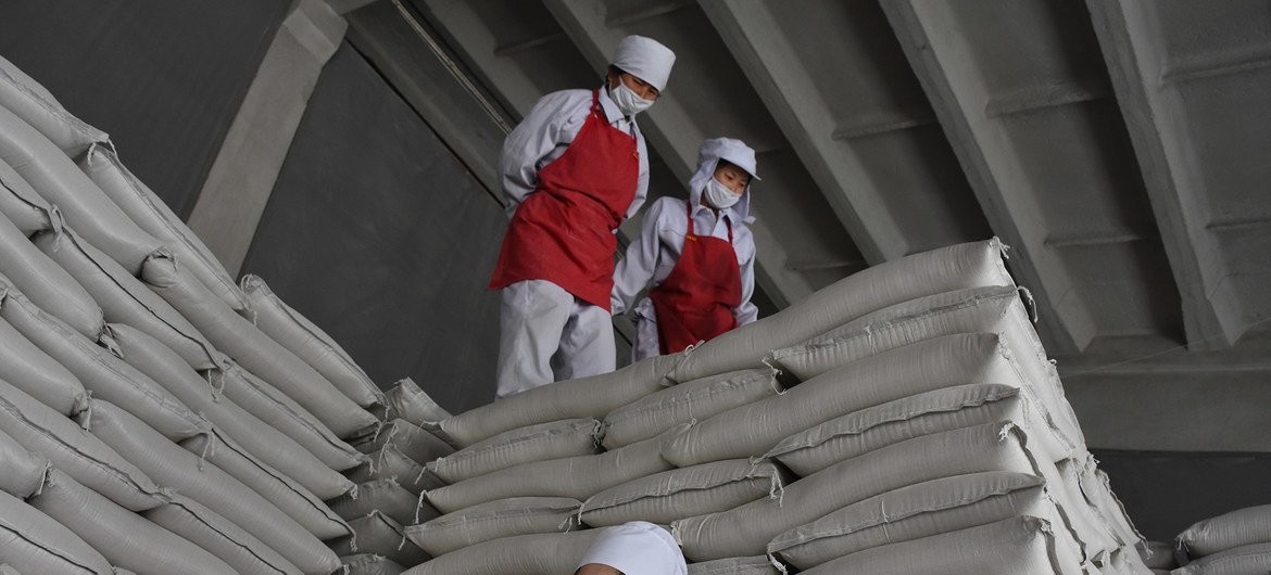 粮食署为朝鲜平城市的一家食品厂提供支持。