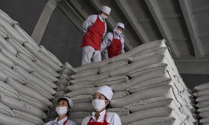 WFP supported food factory in Ryongsong district, North Korea.