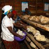 The UN Trust Fund in support of victims of sexual exploitation and abuse has supported women in the Democratic Republic of the Congo receive vocational trainings like mushroom farming. (October 2018)