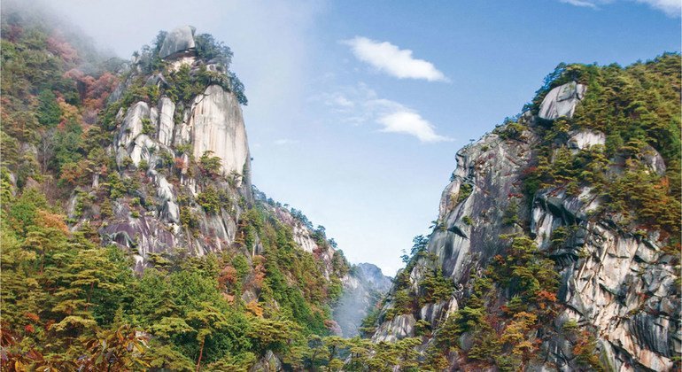 Kobushi Biosphere Reserve in Japan.