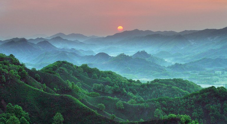 Reserva de Gangwon en la República de Korea.