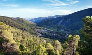 Alto Turia Biosphere Reserve in Spain.