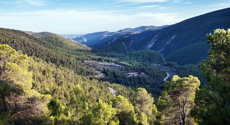 Alto Turia Biosphere Reserve in Spain.