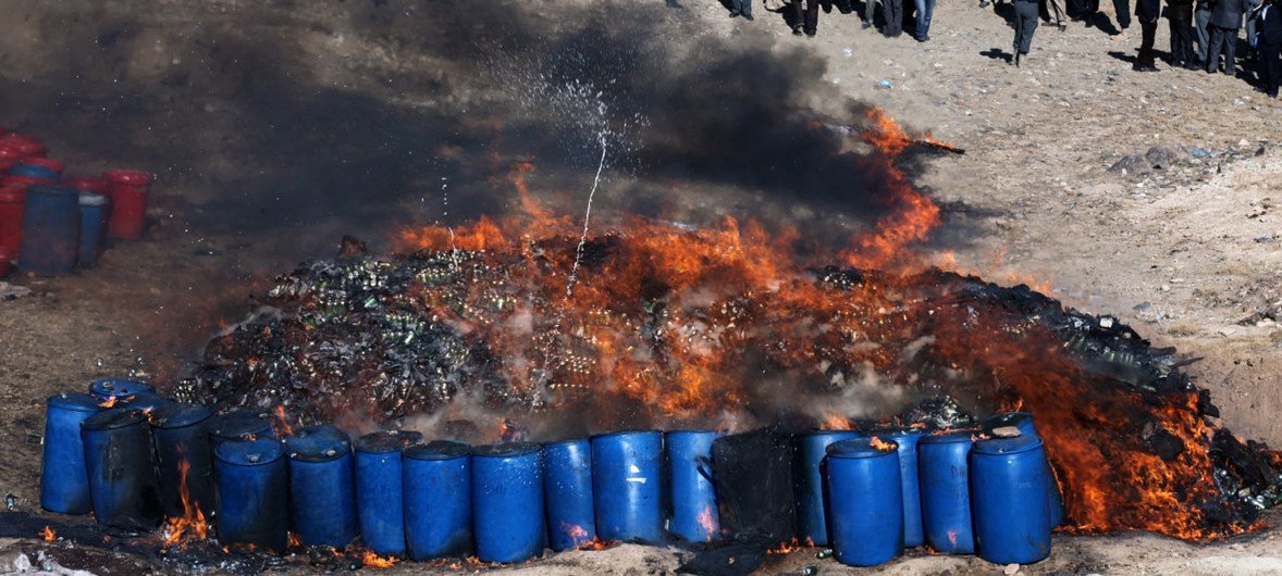 Quema de más de 20 toneladas de drogas ilícitas y alcohol en las afueras de Kabul, ordenadas por los Ministerios del Interior y de Lucha contra los Estupefacientes de Afganistán