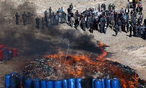 On the outskirts of Kabul, the Afghan Ministries of the Interior and Counter-Narcotics burned more than 20 tons of illicit drugs and alcohol.