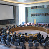 مجلس الأمن يجدد ولاية بعثة يوناميد في حتى نهاية أكتوبر/تشرين الأول. 27 يونيه/حزيران 2019.