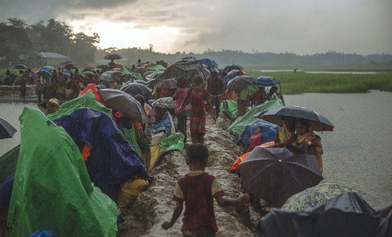 Rohingya refugees fleeing conflict and persecution in Myanmar.