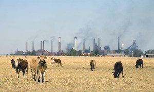 Farm land borders industry in Vanderbijlpark, South Africa (file).