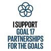 SDG 17