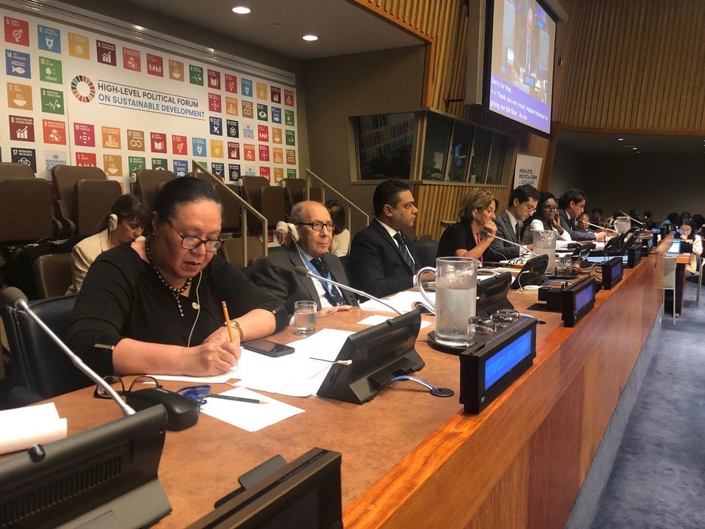 联合国发展权问题特别报告员萨德•阿尔法拉尔吉今年7月参加可持续发展高级别政治论坛。