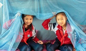 世界卫生组织表示，中国自2016年8月以来未发现一起本土感染的疟疾病例。
