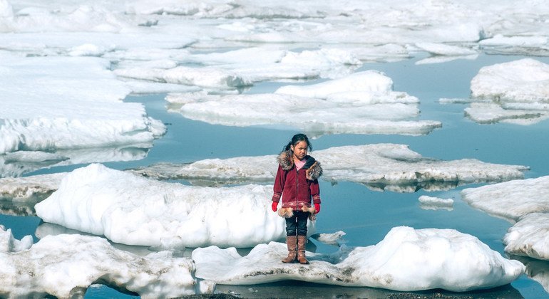 आर्कटिक में जमी बर्फ़ के पिघलने से मानव और वन्य जीवन पर गंभीर प्रभाव होंगे. 