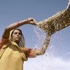 Woman in India shifts grain (file)