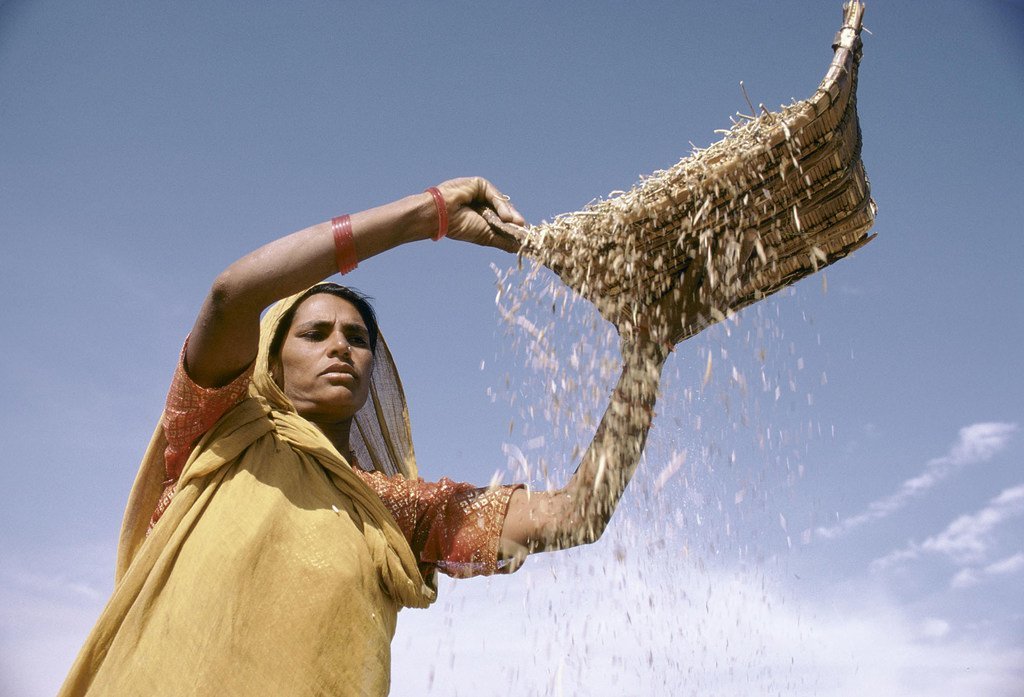 Una mujer agricultora de la India. 