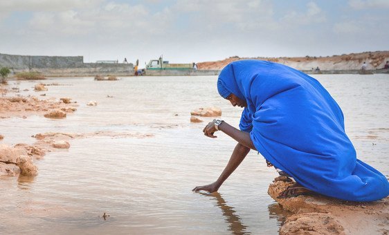FAO está pedindo US$ 138 milhões para ajudar população da Somália e outros países do Chifre da África