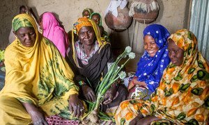 The women of Bokiat Village, Timbuktu, present fresh onions from their vegetable garden where UNICEF, with the support of Sweden, rehabilitated a manual water pump. (13 March 2019)