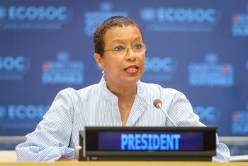 Inga Rhonda King, President of the UN Economic and Social Council (ECOSOC).