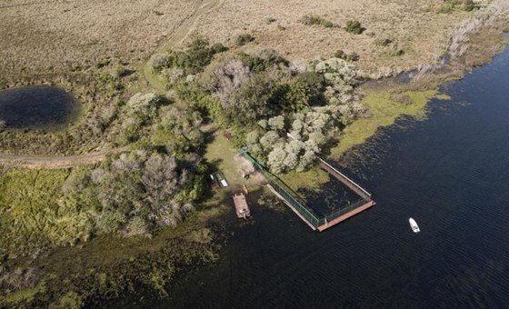 Fotografia de drone mostra o local onde os animais irão viver na Lagoa Paraná, na ilha de San Alonso